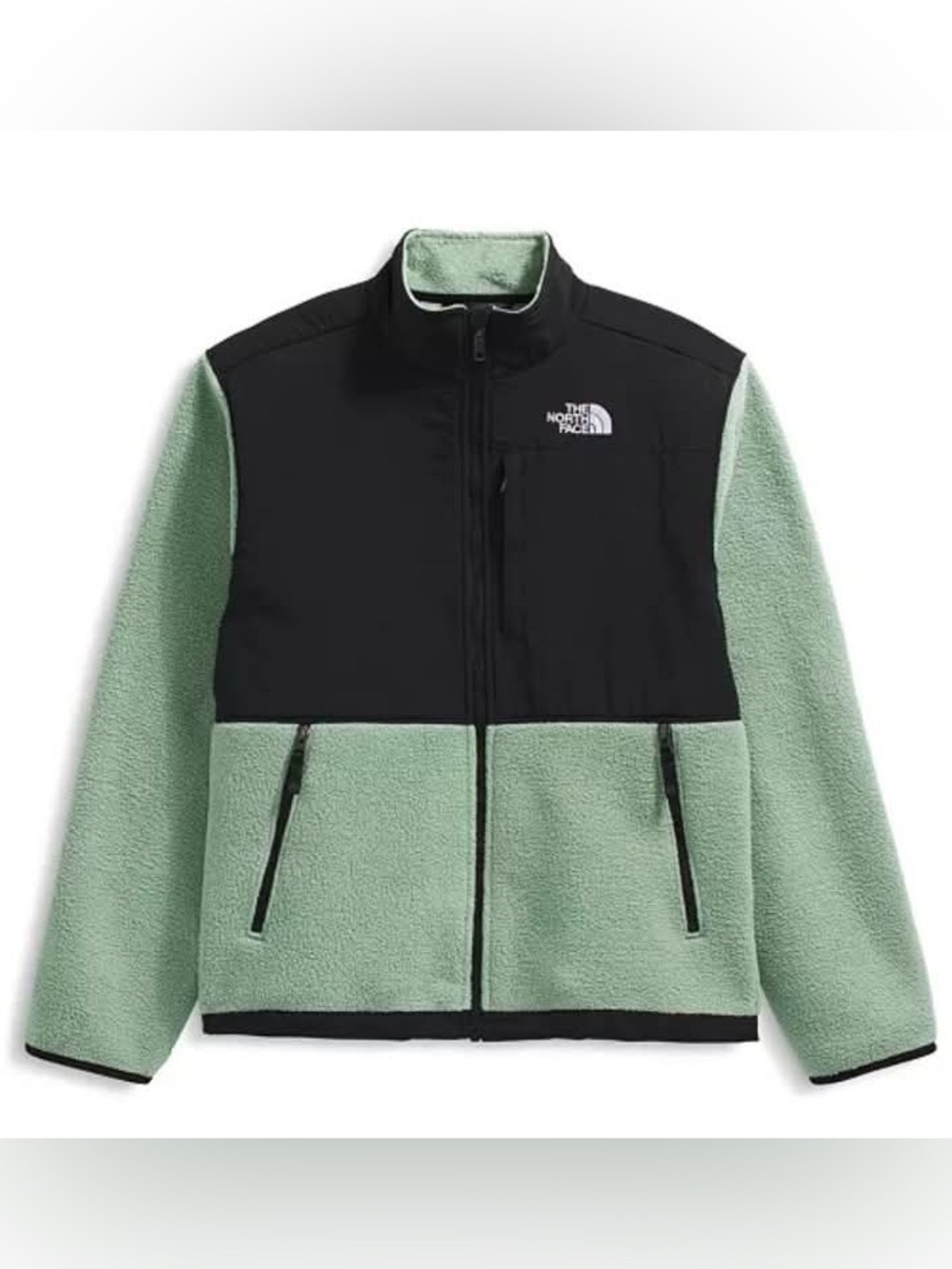 NWOT The North Face Big Boys' ( Teen / Adolescent) Denali Fleece Jacket Sz L(12)
